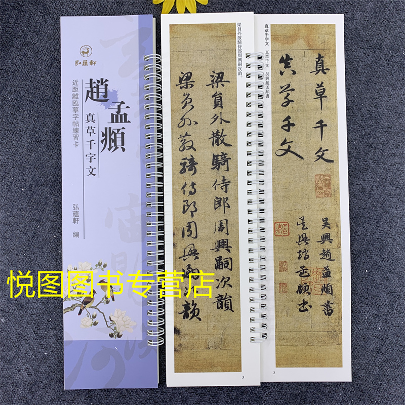 赵孟頫真草千字文 近距离临摹字帖练习字卡