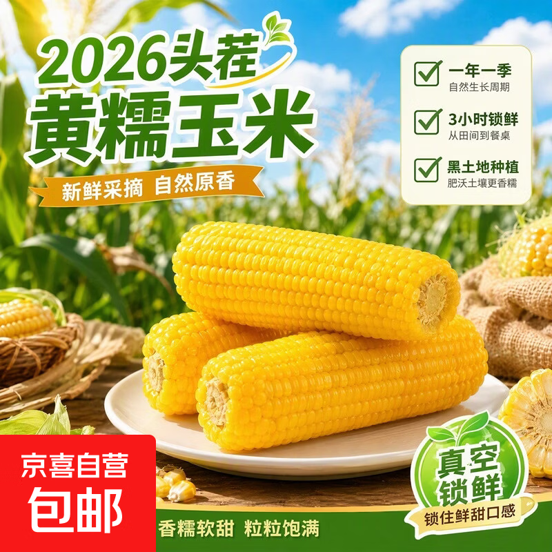正宗东北真空黄糯玉米黏玉米大棒甜糯玉米轻食沙拉早餐加热即食 真空黄糯玉米12根*220g 净重