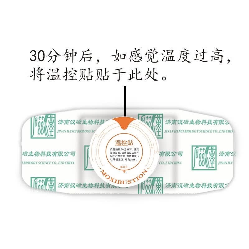 汉磁灸热贴HC-C腰痛贴适用于腰肌劳损腰椎间盘病变贴膏 【腰痛贴】1盒共2贴