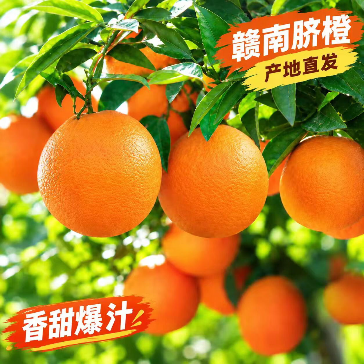 江西赣南脐橙 当季新鲜橙子手剥橙甜生鲜水果整箱团购送礼 10斤彩箱 单果150-250g 净重9斤