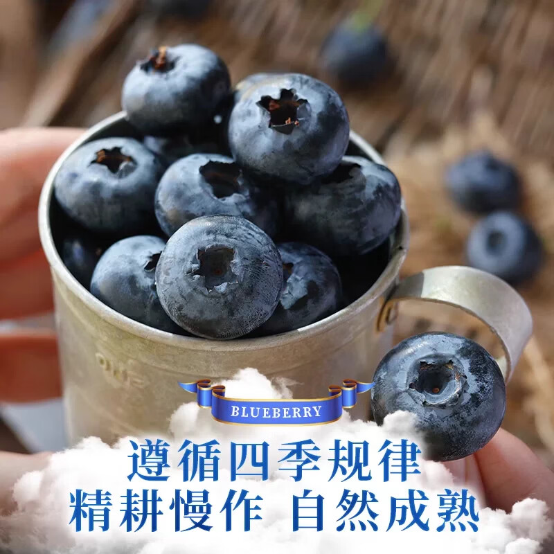东鲜丰云南蓝莓【JD】超大果蓝莓新鲜水果送礼 6盒装单果15mm+ 100g/盒