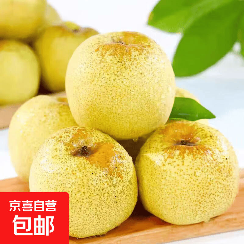 砀山酥梨带箱5斤 12.99元 - 清风线报