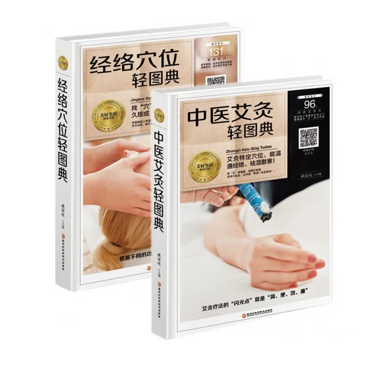 经络穴位中医艾灸典藏书系（共2册）