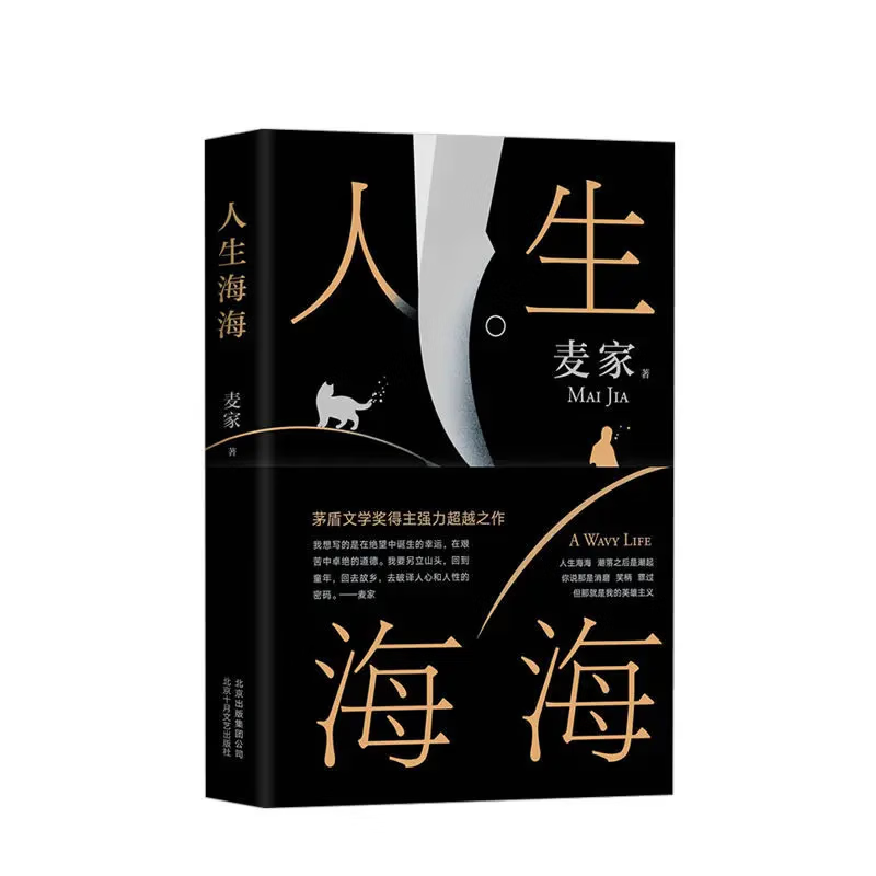 人生海海麦家新书茅盾文学奖得主麦家暗算风声后全新老师经典 人生海海