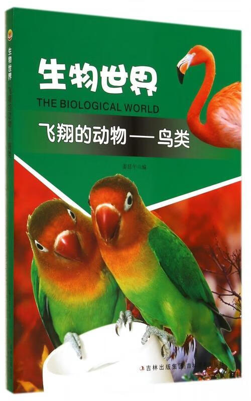 生物世界-飞翔的动物—鸟类