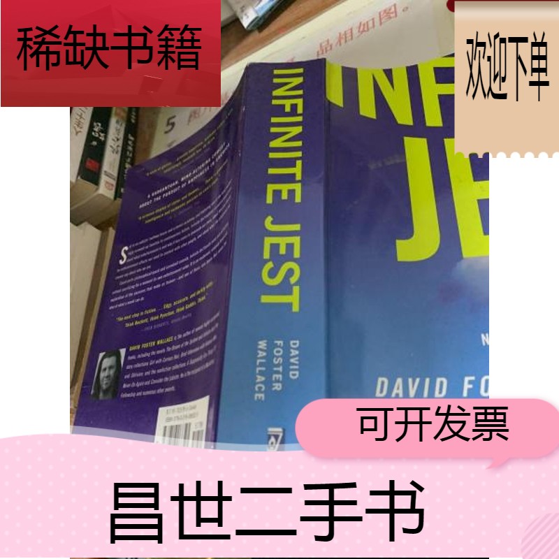 【二手9成新】infinite jest