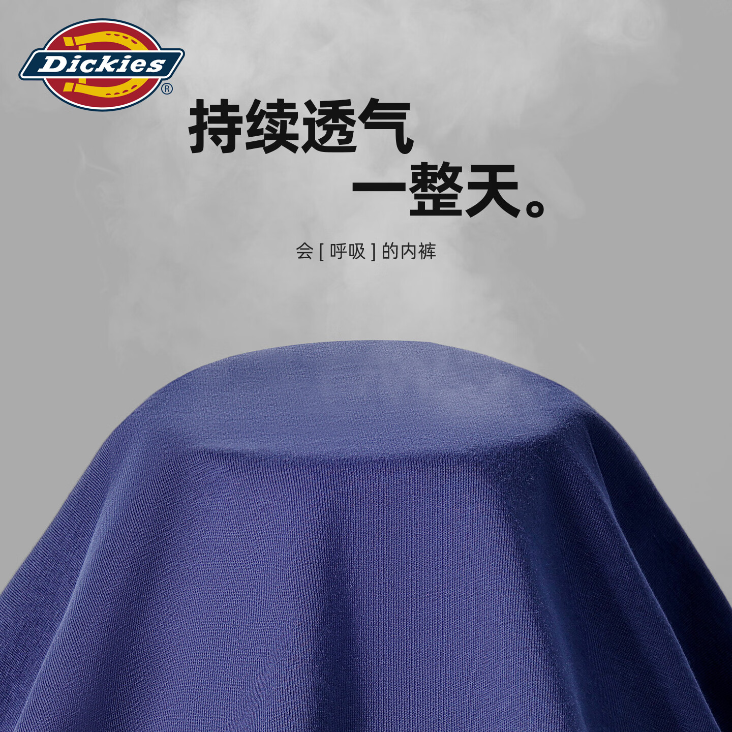 Dickies男士纯棉内裤10A抗菌透气青少年无痕白色运动四角大码宽松平角裤 酒红色 1条 4XL 适合200-230斤