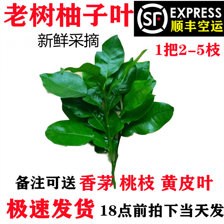 柚子叶 新鲜柚叶 去晦气转运沐浴乔迁新居柚子叶碌柚叶黄皮叶柚子叶