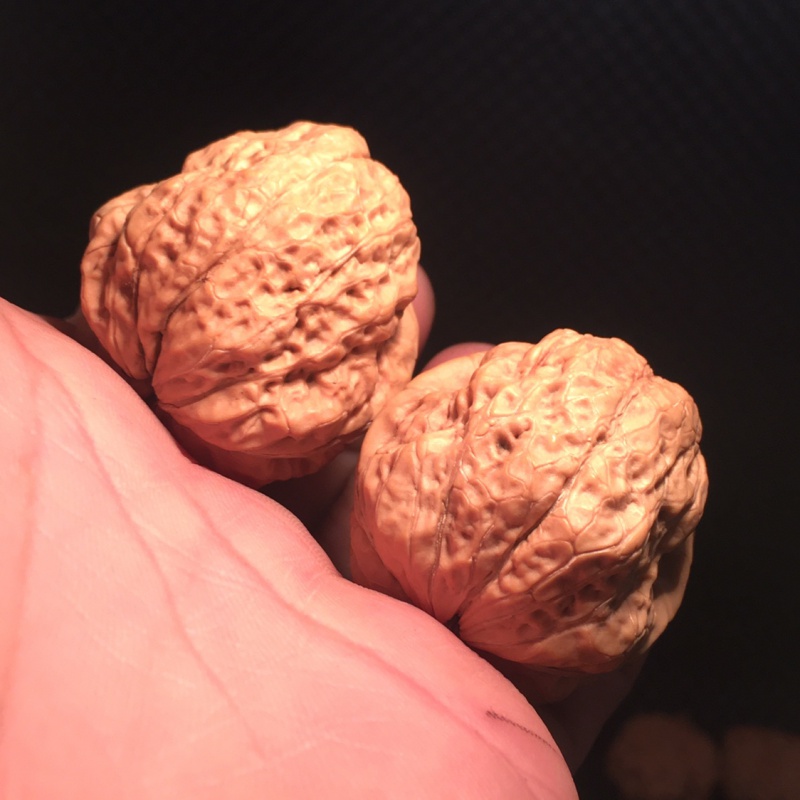 铁核桃一对 云南野生铁核桃小蛤蟆头肌肉包血舍利妖孽金蟾皇冠佛手