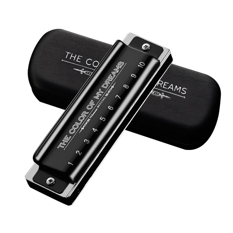 天鹅(swan)追梦人口琴10孔布鲁斯g调爱尔兰paddy音阶高级专业演奏