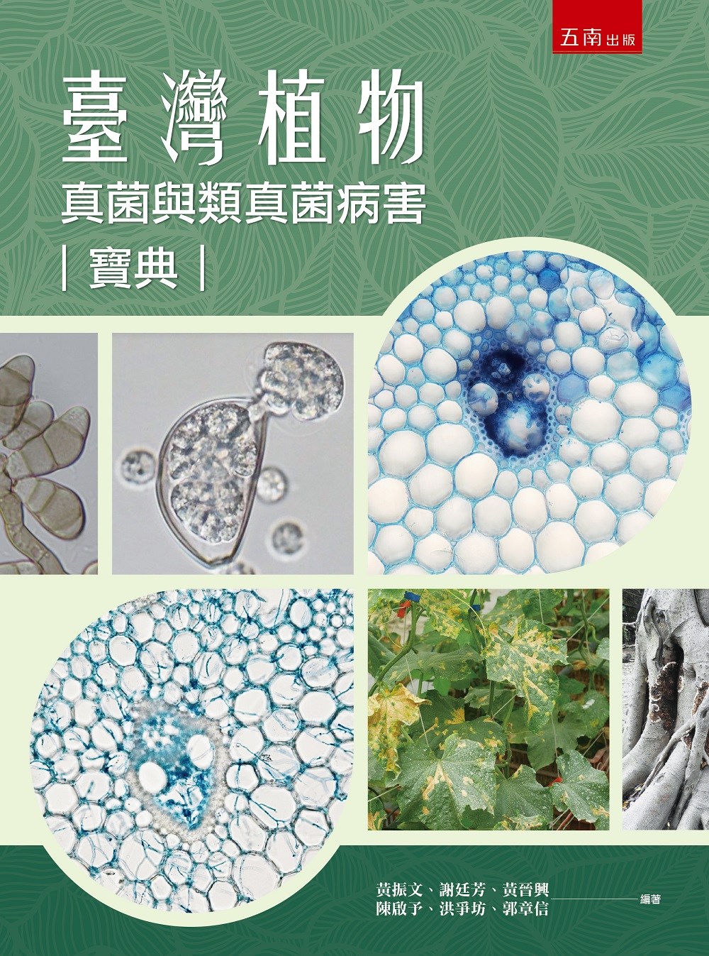 预售 黄振文 中国台湾植物真菌与类真菌病害宝典 五南