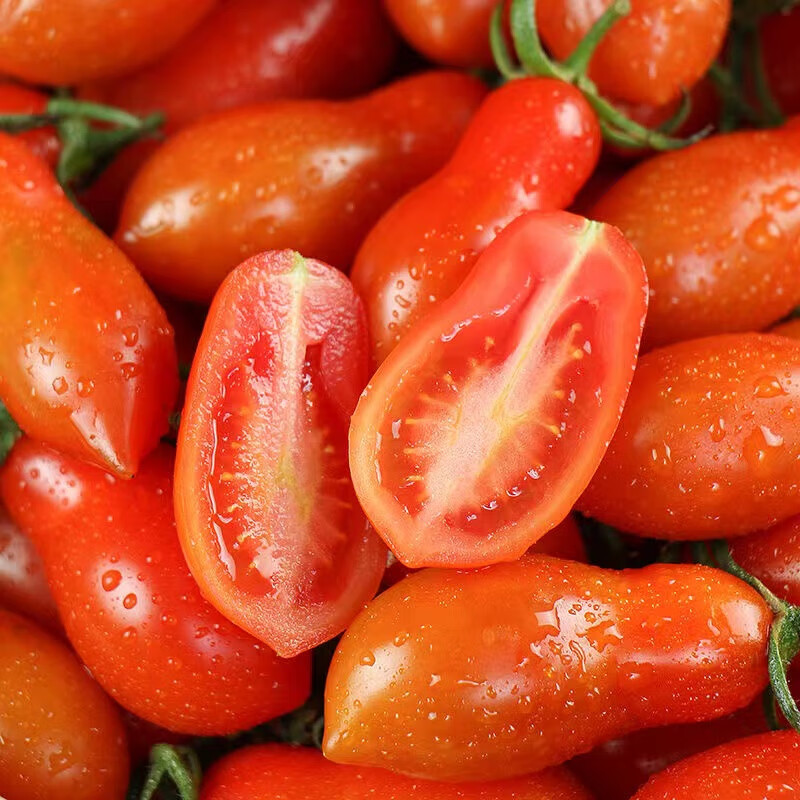 承园鲜 辽宁409花生柿子4斤 新鲜水果现摘碱地柿子圣女果小番茄生鲜