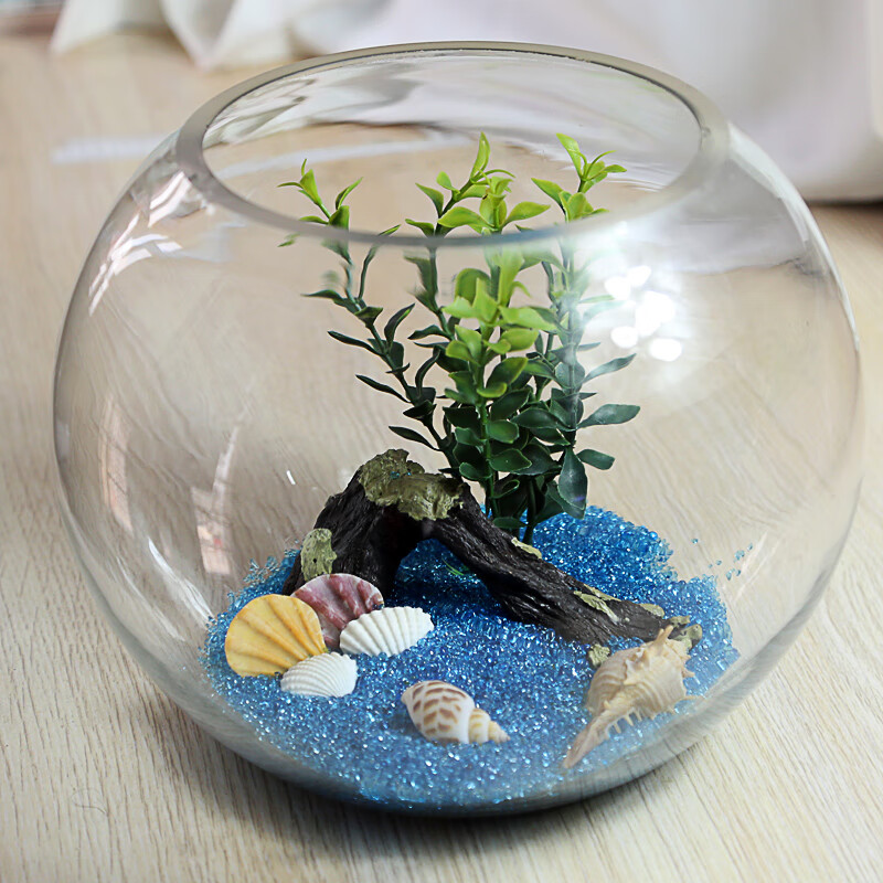 桌面小鱼缸玻璃 迷你型生态鱼缸造景 养金鱼小型热带鱼 圆形鱼缸 大号