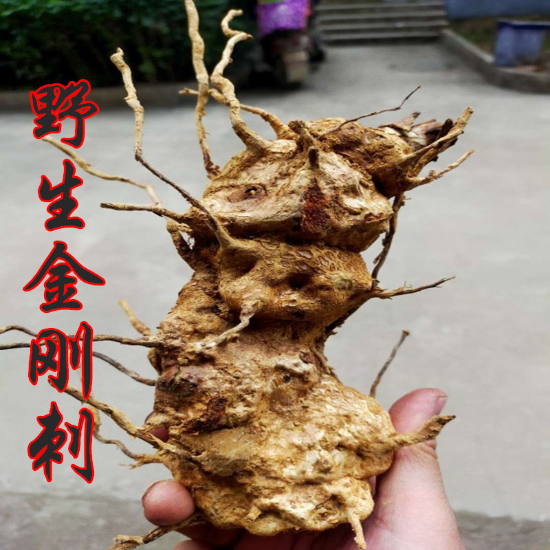 山上现挖新鲜菝葜根金刚藤铁菱角金刚根金刚刺根菝葜 1斤金刚刺