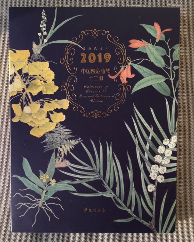 中国濒危植物十二图 第三辑（2019年台历）
