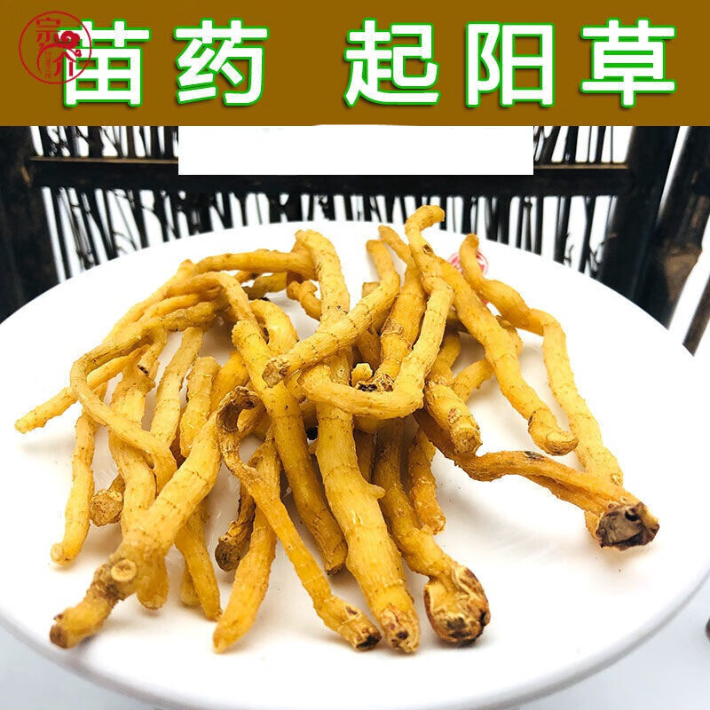 起阳草:云南苗家腾冲特产野生中草药中药材药药材泡酒