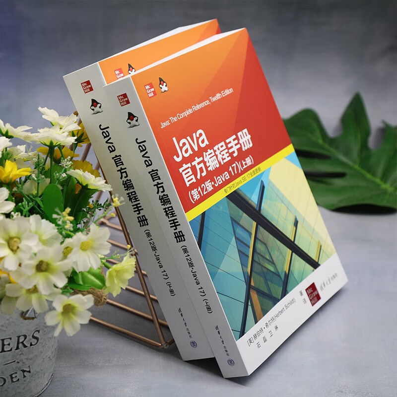 Java官方编程手册（第12版·Java 17）套装上下册