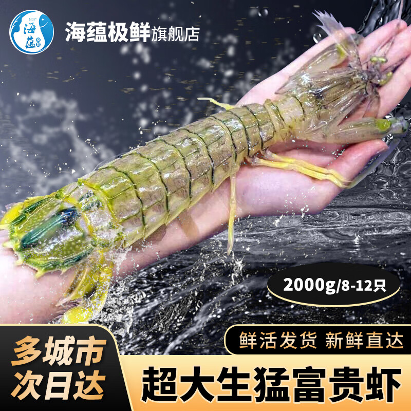 海蘊極鮮【活鮮】鮮活富貴蝦 新鮮泰國進口巨型皮皮蝦活蝦燒烤年貨春節(jié) 2000g（8-12只）吃肉款