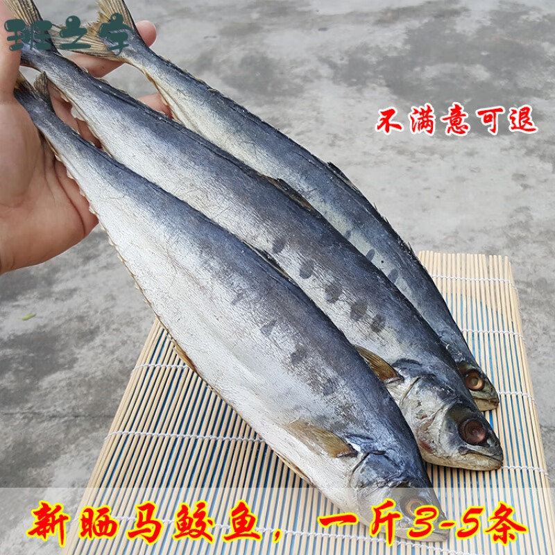 宜享健康 味巴哥刀鲅鱼干马鲛鱼干海鲜干货咸鱼干500g尖嘴鲅鱼干 马鲛