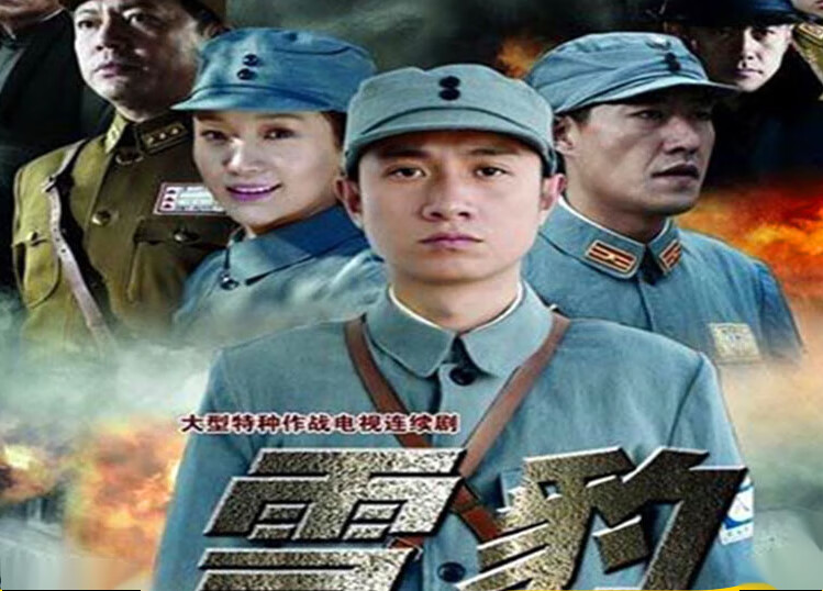 酥灏梆历史抗战电视剧光盘 雪豹dvd碟片/文章/于震/何政军/吴秀波 军