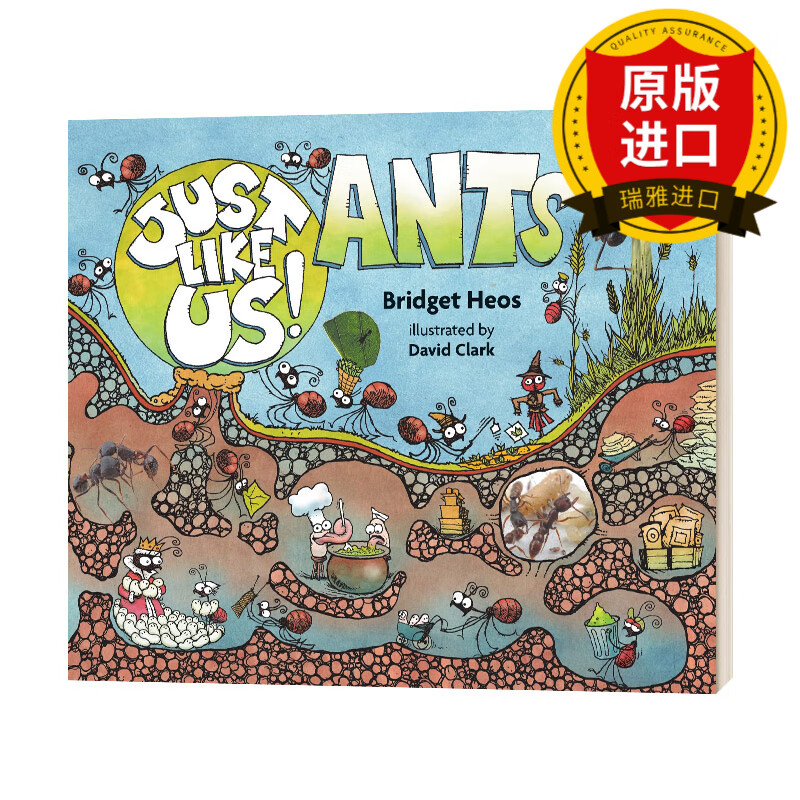 Just Like Us! Ants 像我们一样 蚂蚁 科普绘本 瑞雅进口原版