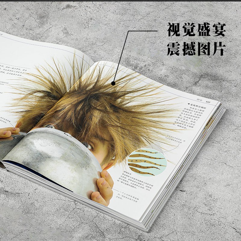  DK科学运转的秘密 童书详情图