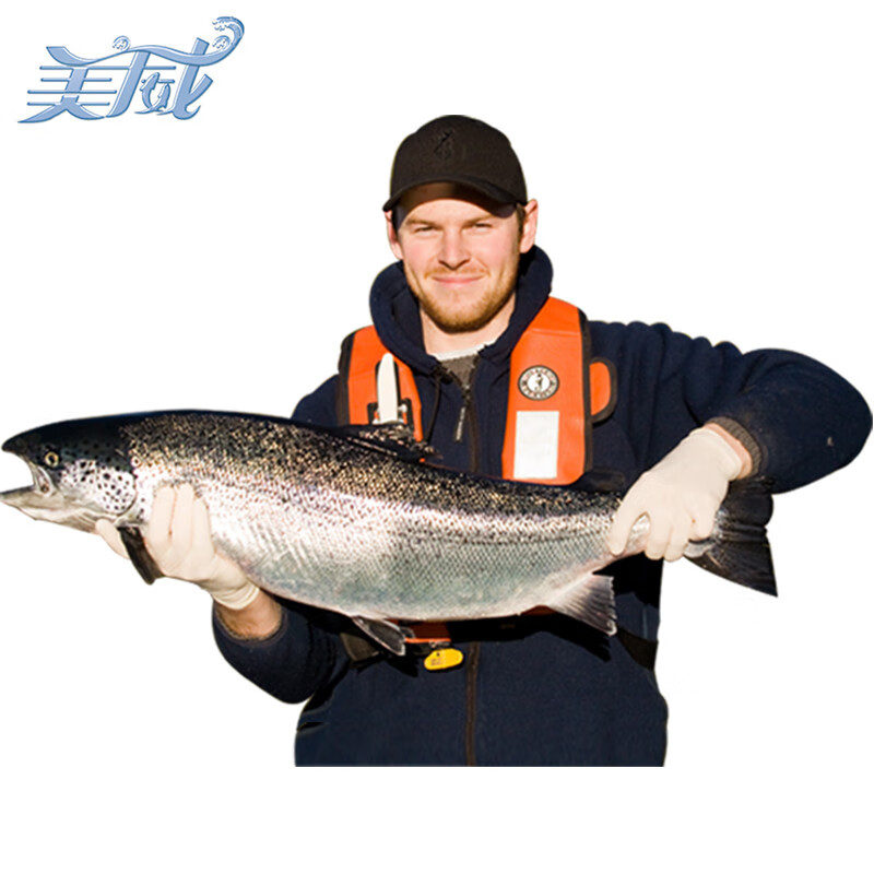 美威冷冻智利 三文鱼中秋礼盒净重8斤 整条轮切礼盒 大西洋鲑鱼 送礼