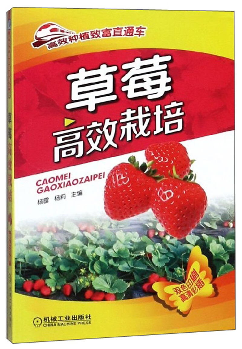 草莓高效栽培（双色印刷）/高效种植致富直通车