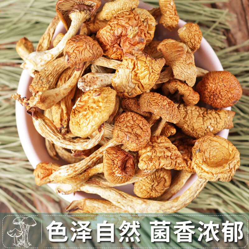 翰鸥斐东北滑子菇干货食材滑子蘑煲汤材料小鸡炖蘑菇长白山滑菇 500g