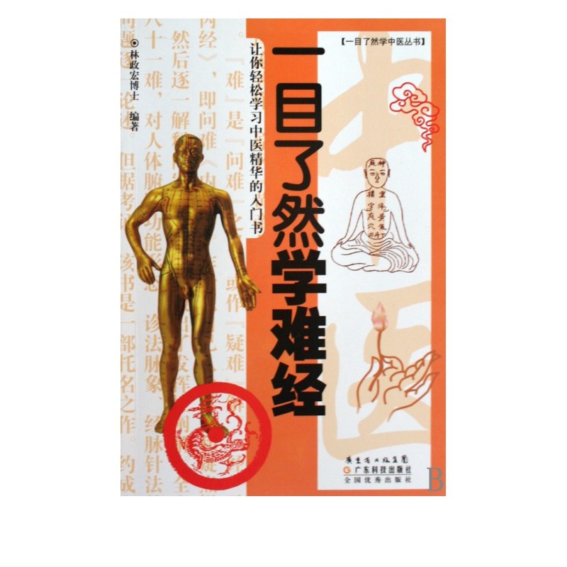 一目了然学难经/一目了然学中医丛书