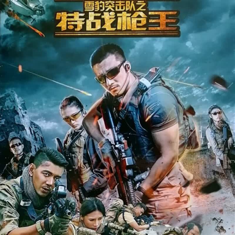 鸾烈雪豹突击队之特战枪王 dvd碟片光盘电视连续剧 张峻宁 那志东