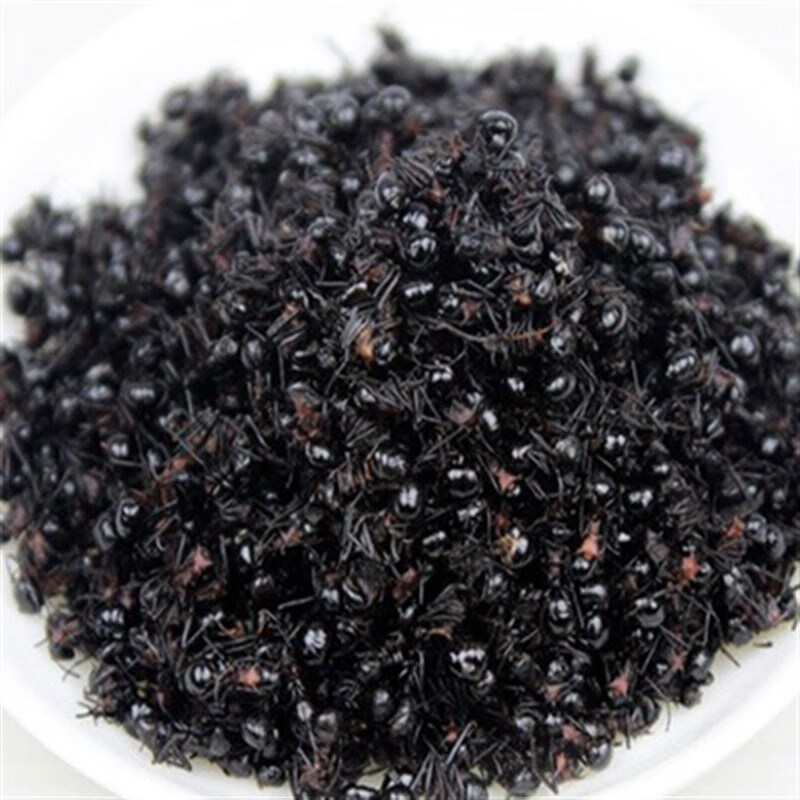蚂蚁黑蚂蚁干红蚂蚁打粉泡酒中药材刺蚁500g
