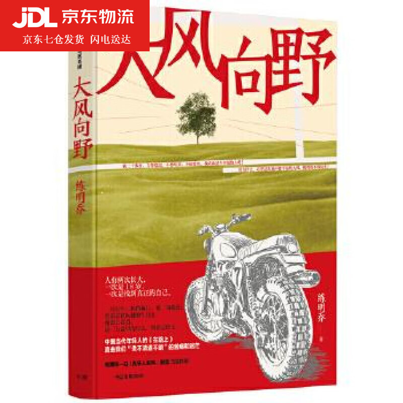 大风向野 练明乔