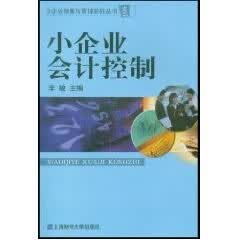 小企业会计控制 李敏【正版】