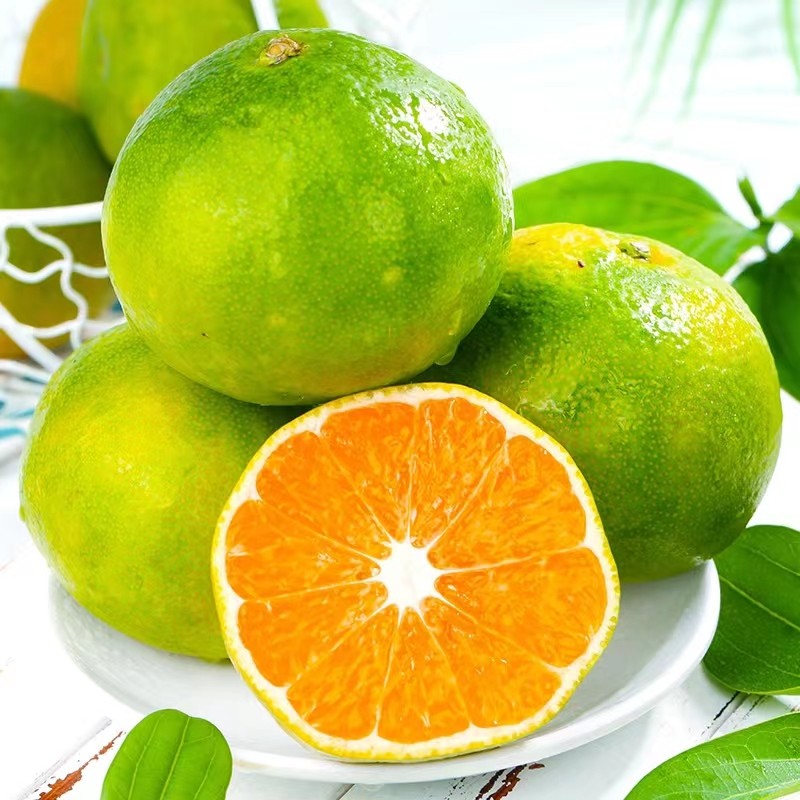 云南蜜桔好不好吃(云南蜜桔的口感)