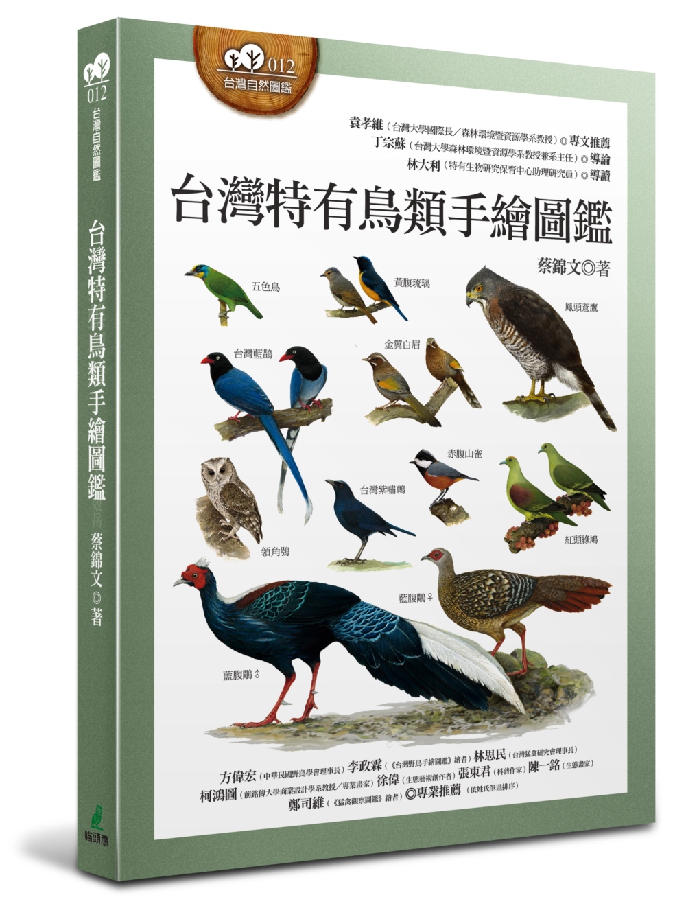 预售 蔡锦文 中国台湾特有鸟类手绘图鉴 猫头鹰