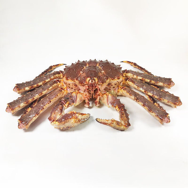 【活鲜】鲟食 俄罗斯鲜活帝王蟹 超大螃蟹皇帝蟹 长脚蟹海鲜蟹类 鲜活