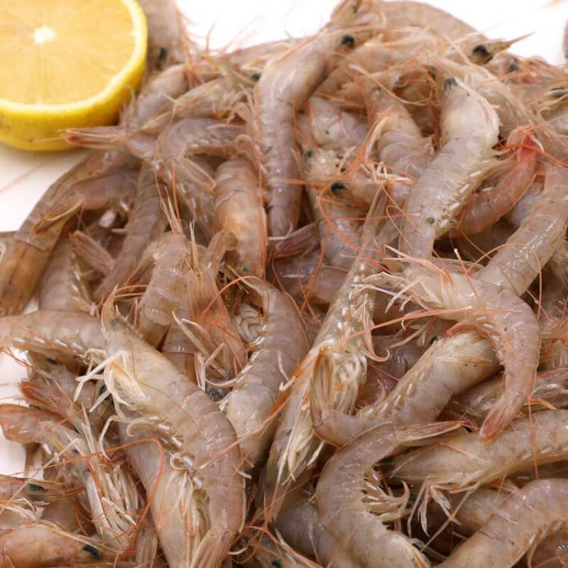 燕江澜蛎虾鲜活海捕新鲜滑皮虾深海鹰爪虾无冰大立虾沙虾冷冻水产 5斤