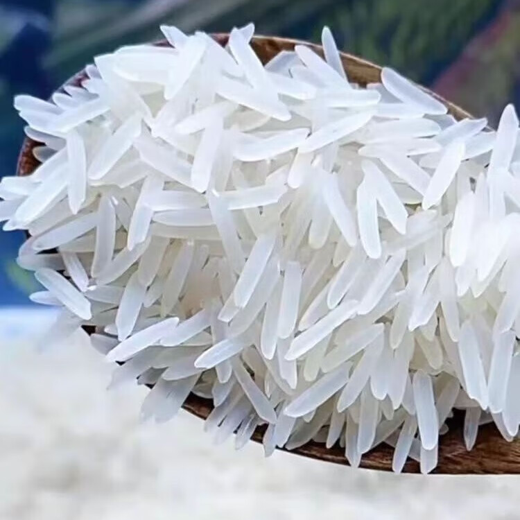 泰金香 莲花香米 5kg 长粒米 茉莉香米 大米10斤