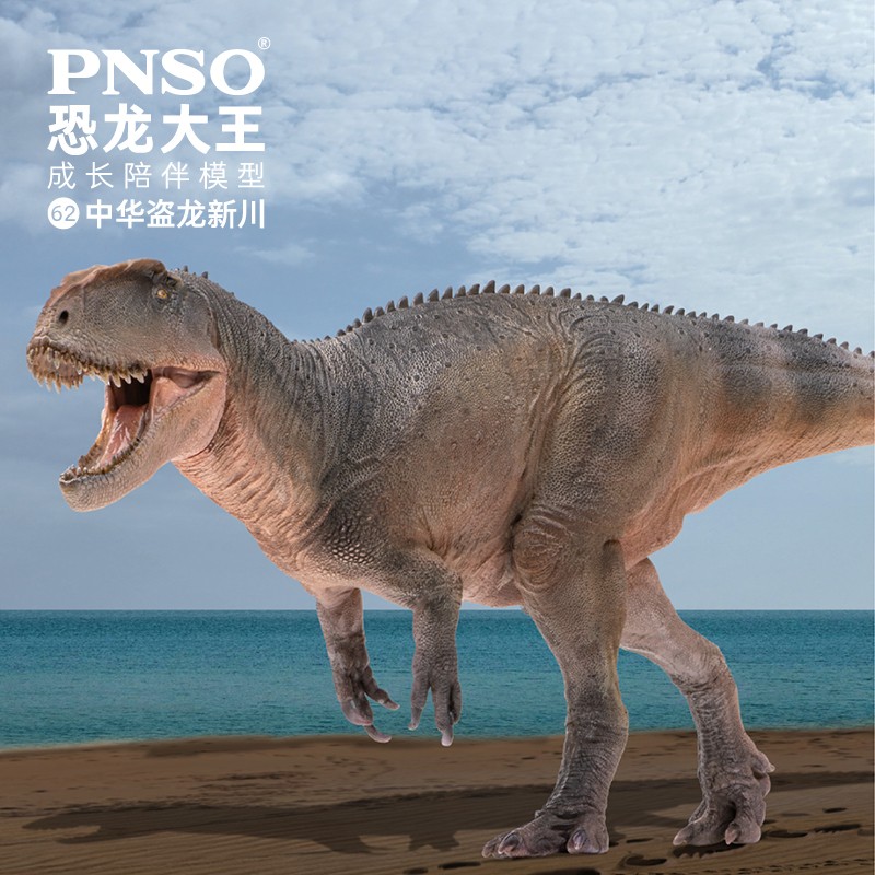 pnso中华盗龙新川恐龙大王成长陪伴模型62
