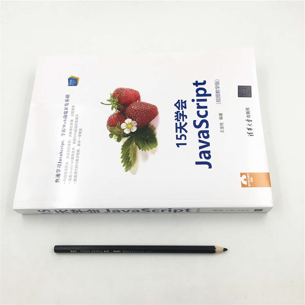 Web前端技术丛书：15天学会JavaScript（视频教学版）