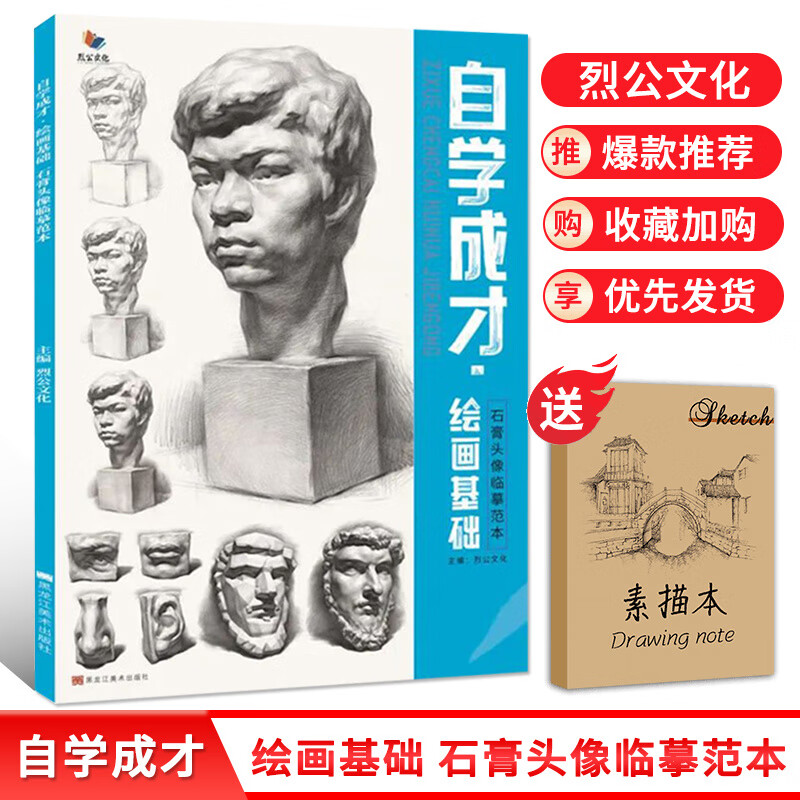 自学成才绘画基础石膏头像临摹范本 202