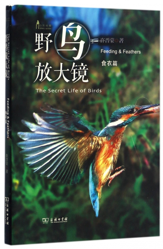 野鸟放大镜(食衣篇)/自然观察