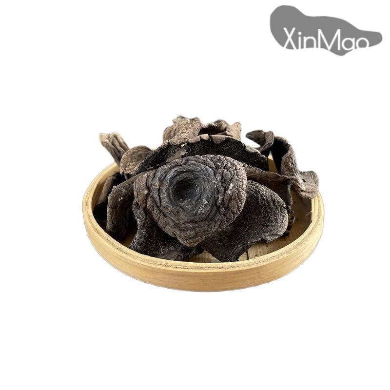 食怀野生碳菇天然黑炭菇黑蘑菇新鲜碳菇干货野生蘑菇东北 黑炭菇100g
