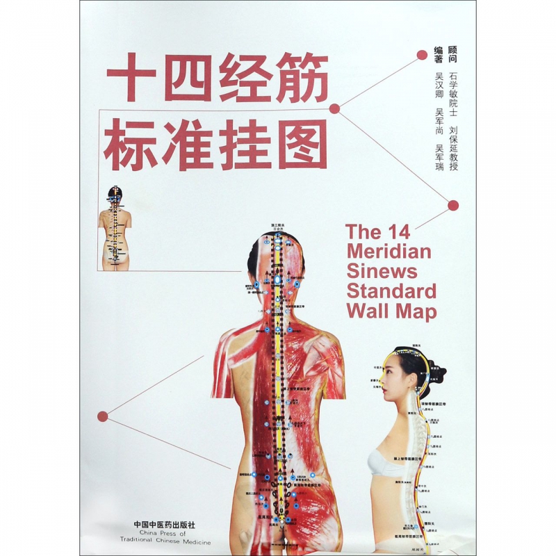 十四经筋标准挂图(共6张)