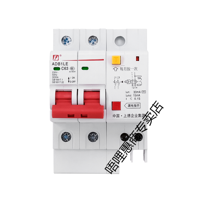 唔哩漏电保护自动跳闸开关2p漏电保护开关空气漏电断路器 10a 2p