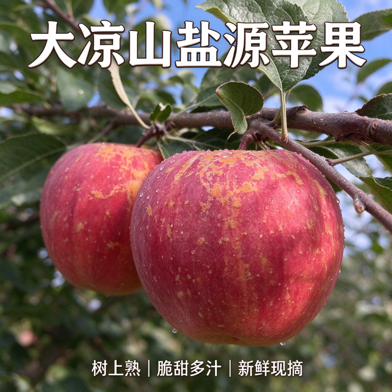 四川大凉山丑苹果 应季新鲜水果 源头直发包邮 四川盐源丑苹果净重4.5斤单果65+