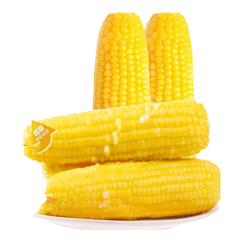 ڲϱŴ ѡ װװ ֬Ŵճ Ŵ10֧ 2.6kg61.71Ԫ3(20.57Ԫ/)