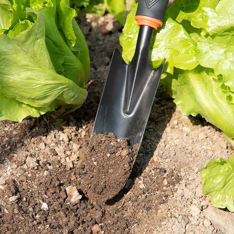 农用工具家用种菜种花养花菜园种植翻地松土铲土除草工具户外小铲子小