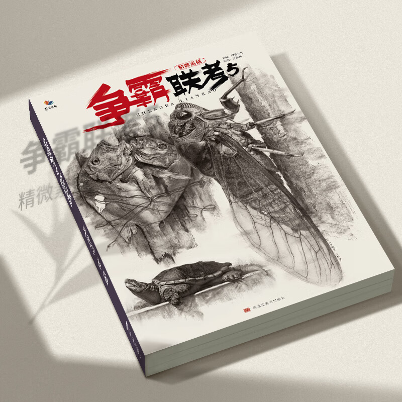 争霸联考5精微素描江振坤精微素描观察刻画技法训练